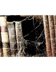 CONDOR Spider web effect (Cobweb) 2