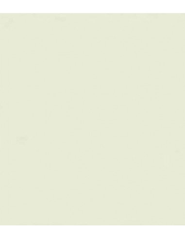 ROSCO E-Colour 278 Eighth Plus Green