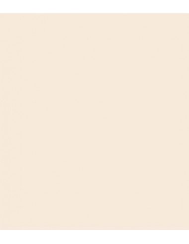 ROSCO E-Colour 444 Eighth CT Straw