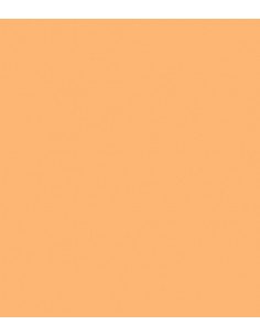 E-Colour 204: Full CT Orange ROSCO
