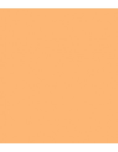 ROSCO E-Colour 204: Full CT Orange
