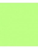 E-Colour 088 Lime Green ROSCO