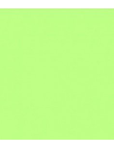 ROSCO E-Colour 088 Lime Green