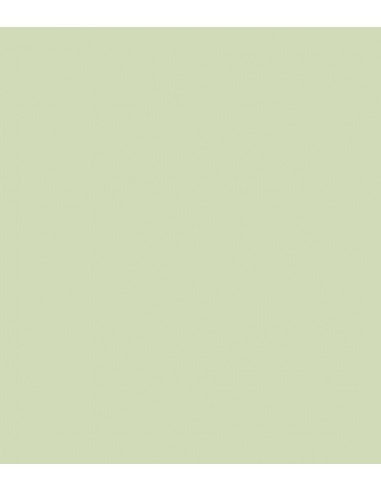 E-Colour 245 Half Plus Green ROSCO