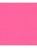 ROSCO E-Colour 192 Flesh Pink