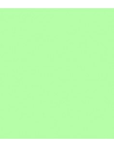 ROSCO E-Colour 138 Pale Green