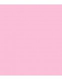 ROSCO E-Colour 039 Pink Carnation