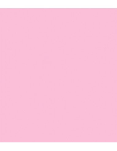 E-Colour 039 Pink Carnation