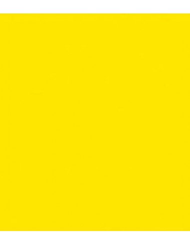 E-Colour 767 Oklahoma Yellow ROSCO