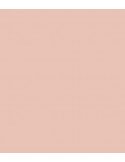 Rosco E-Colour 184 Cosmetic Peach