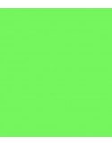 E-Colour 122 Fern Green ROSCO