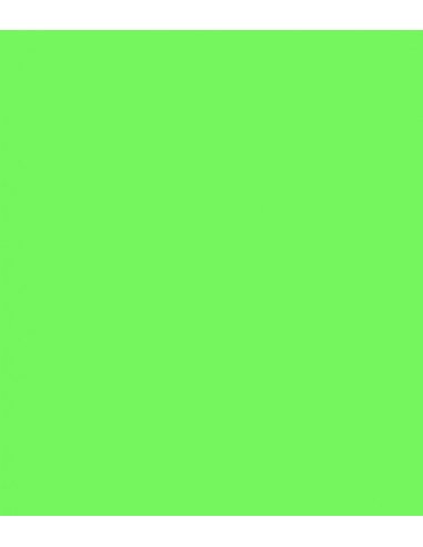E-Colour 122  Fern Green ROSCO