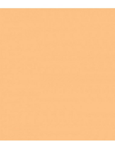 Cinegel 3408 1/2 CTO Rollo 1,22m x 7,6m ROSCO