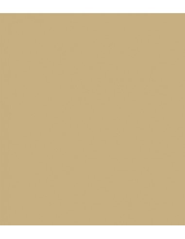 ROSCO Cinegel 3029 Silent Frost