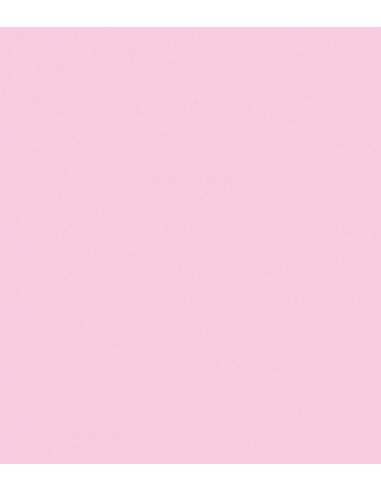 ROSCO E-Colour 410 Opal Frost