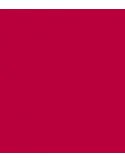 Rosco E-Colour 787 Marius Red
