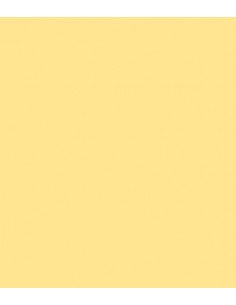 ROSCO E-Colour 765 Lee Yellow