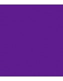 ROSCO E-Colour 5084 Damson Violet