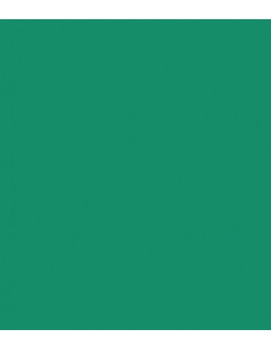 E-Colour 124 Dark Green ROSCO