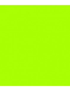 ROSCO E-Colour 738 Jas Green