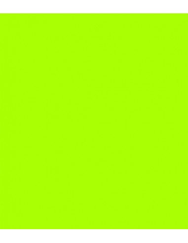 E-Colour 738 Jas Green  Rosco