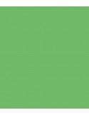 ROSCO E-Colour 121 Leaf Green