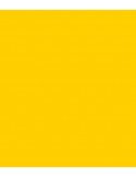 E-Colour 101 Yellow ROSCO