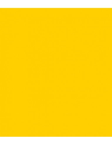 ROSCO E-Colour 101 Yellow