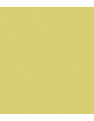 ROSCO E-Colour 650 Industrial Sodium