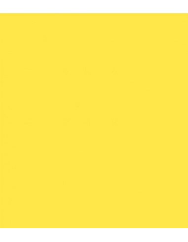 E-Colour 102 Light Amber ROSCO