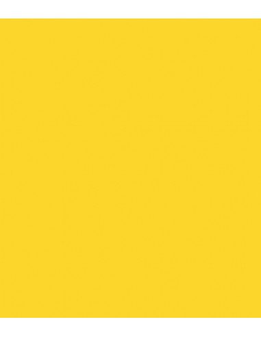 E-Colour 007  Pale Yellow ROSCO