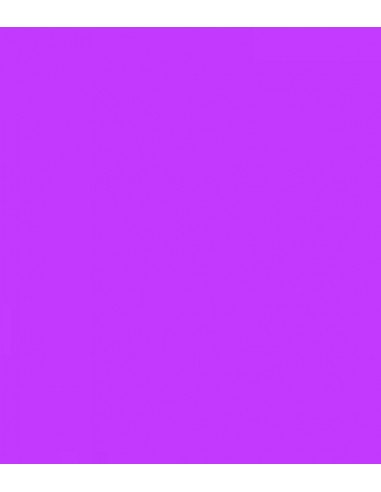 E-Colour 048 Rose Purple ROSCO