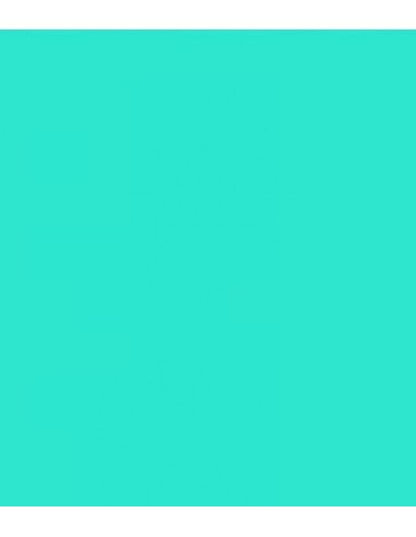 E-Colour 219 Fluorescent Green ROSCO