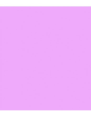 E-Colour 704 Lily ROSCO